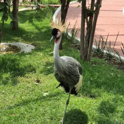Parque Ecológico Ehécatl - Ecatepec