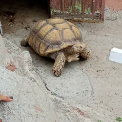 Parque Ecológico Ehécatl - Ecatepec