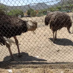 Parque Ecológico Ehécatl - Ecatepec