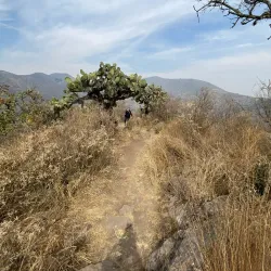 Zona Arqueológica de Santa María Tulpetlac - Ecatepec