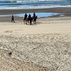 Ensenada Malecón - Ensenada