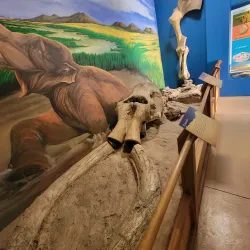Museo de Historia de Ensenada - Ensenada