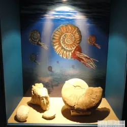 Museo de Historia de Ensenada - Ensenada