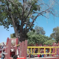 Parque Revolución - Ensenada
