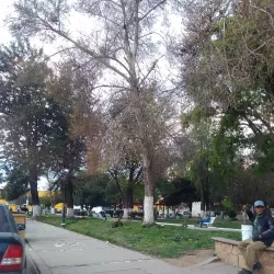 Parque Revolución - Ensenada