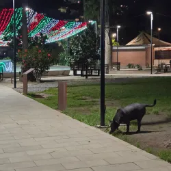 Parque Revolución - Ensenada