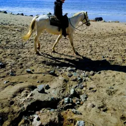 Playa Hermosa - Ensenada