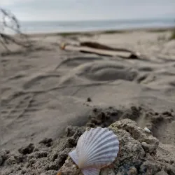 Playa Hermosa - Ensenada