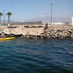 Playa Hermosa - Ensenada
