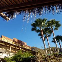 Valle de Guadalupe - Ensenada