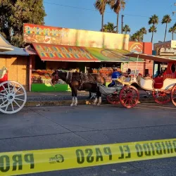 Valle de Guadalupe - Ensenada