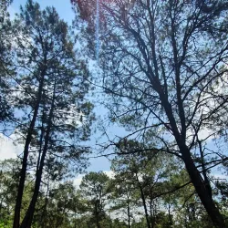 Nearby Town of Pátzcuaro - Erongaricuaro