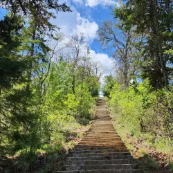 Surrounding Hills and Nature Trails - Erongaricuaro