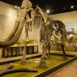 Museo Regional de Guadalajara - Guadalajara