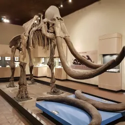 Museo Regional de Guadalajara - Guadalajara