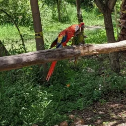 Parque Agua Azul - Guadalajara