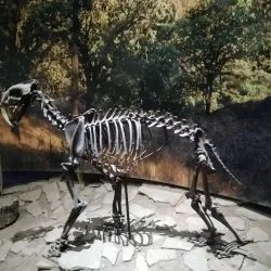 Parque Agua Azul - Guadalajara