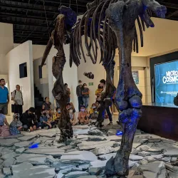 Parque Agua Azul - Guadalajara