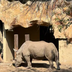 Parque La Pastora - Guadalupe