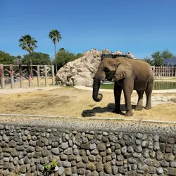 Parque La Pastora - Guadalupe