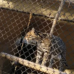 Parque La Pastora - Guadalupe