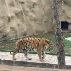 Parque La Pastora - Guadalupe