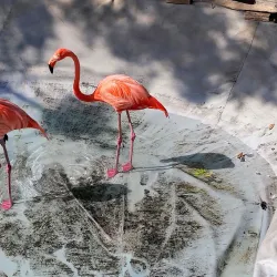 Parque La Pastora - Guadalupe