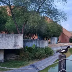 Parque Niños Héroes - Guadalupe