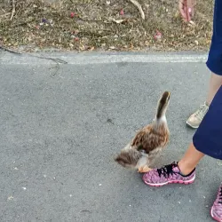 Parque Niños Héroes - Guadalupe