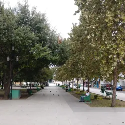 Plaza Principal de Guadalupe - Guadalupe