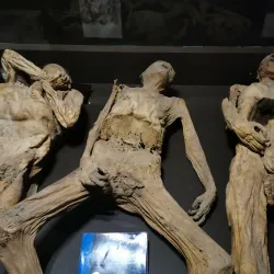 Mummy Museum (Museo de las Momias) - Guanajuato