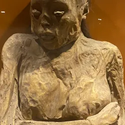 Mummy Museum (Museo de las Momias) - Guanajuato