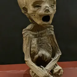 Mummy Museum (Museo de las Momias) - Guanajuato