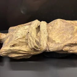 Mummy Museum (Museo de las Momias) - Guanajuato