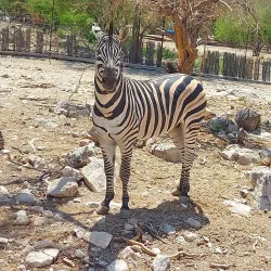 Centro Ecológico de Sonora - Hermosillo