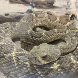 Centro Ecológico de Sonora - Hermosillo