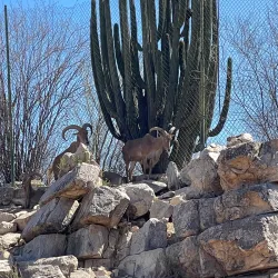 Centro Ecológico de Sonora - Hermosillo
