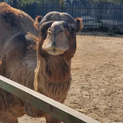 Centro Ecológico de Sonora - Hermosillo