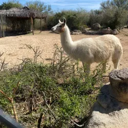 Centro Ecológico de Sonora - Hermosillo