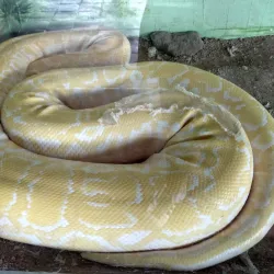 Centro Ecológico de Sonora - Hermosillo