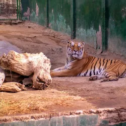 Centro Ecológico de Sonora - Hermosillo