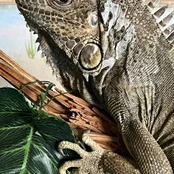 Centro Ecológico de Sonora - Hermosillo