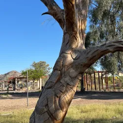 Parque Infantil - Hermosillo