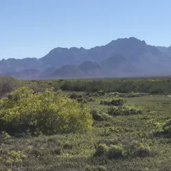 Isla del Tiburón - Heroica Guaymas