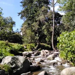 Parque La Cañada - Huixquilucan de Degollado