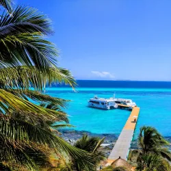 Garrafon Natural Reef Park - Isla Mujeres