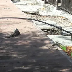 Hacienda Mundaca - Isla Mujeres