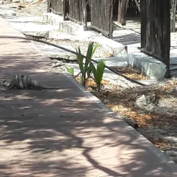 Hacienda Mundaca - Isla Mujeres
