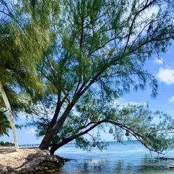 Isla Mujeres Market - Isla Mujeres