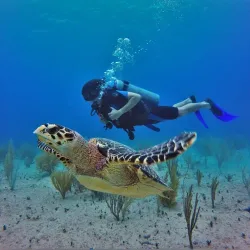 Isla Mujeres Underwater Museum (MUSA) - Isla Mujeres